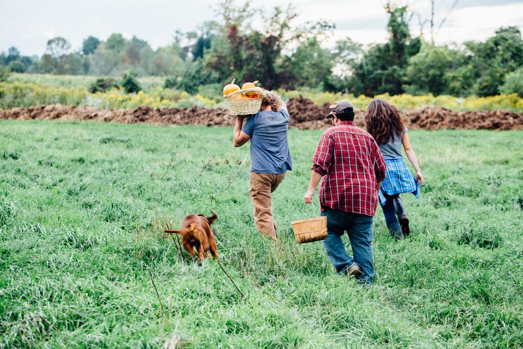 Young farmers millennial