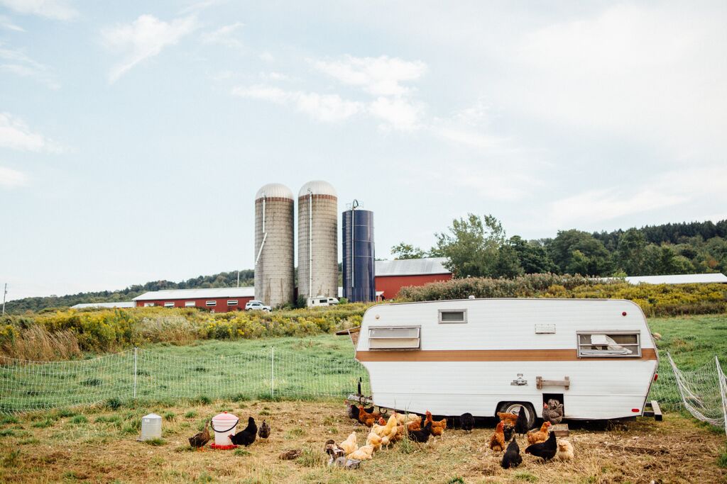 FARM LIFE
