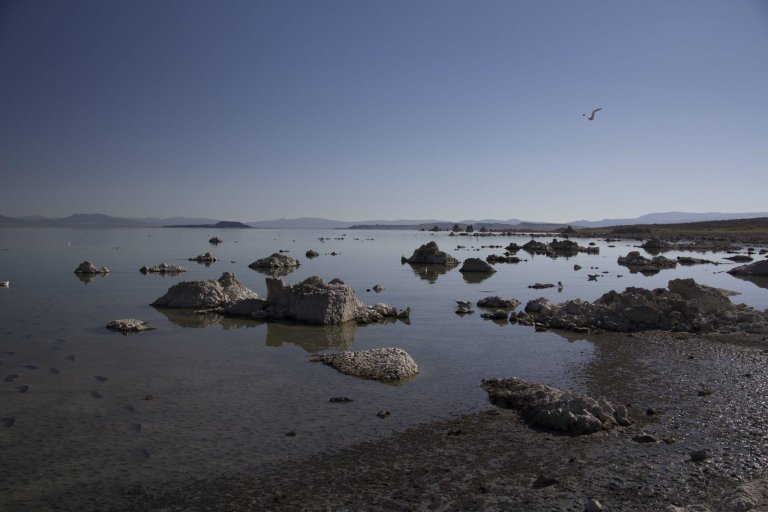 Shoreline of Lake Mono
