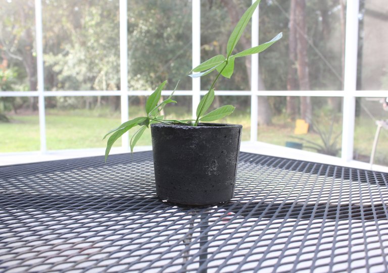 a concrete flower pot with a plant in it on a metal porch table