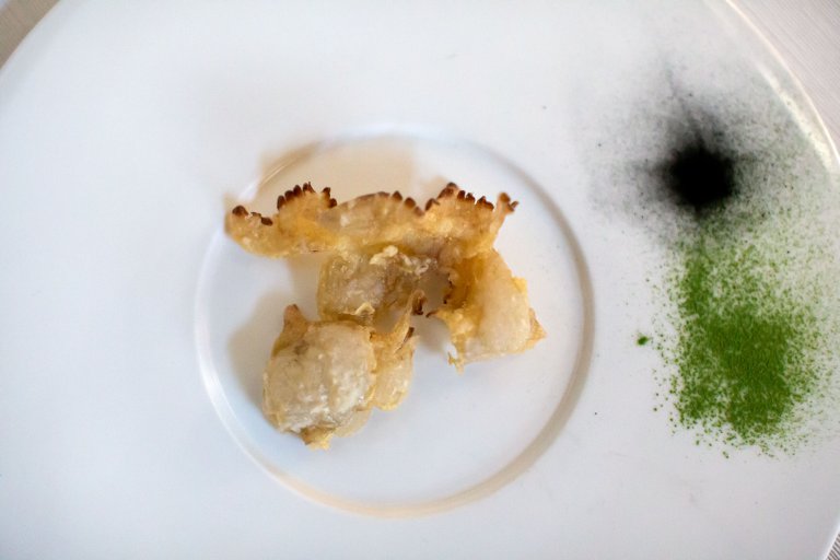 Italian chefs are cooking up a solution to booming jellyfish populations