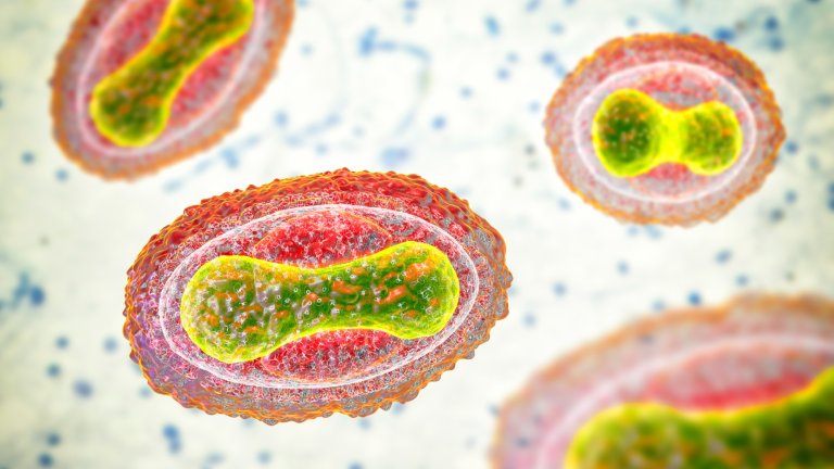 It’s easier than ever to make DNA from scratch—but what are the risks?
