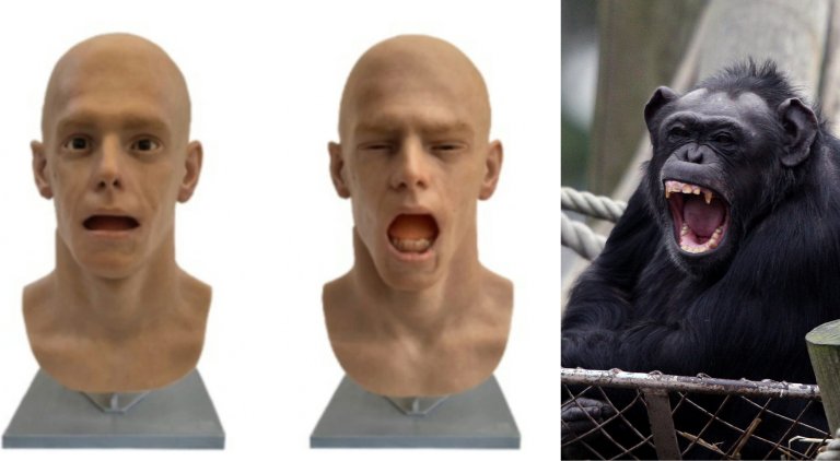 two yawning robot heads and a chimp